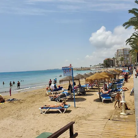 In Comfortable Sea &